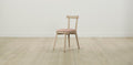 The Allen  - Performance Velvet Dusty Rose Dining Chair